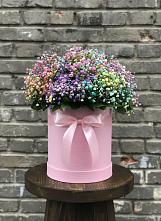 Цветочная композиция из Гипсофила и Розы в шляпной коробке в Шумихе