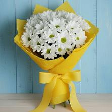 Букет цветов из:  Хризантемы в Шумихе