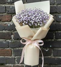 Букет цветов из:  Гипсофила #REPLACE_PRED# Шумихе