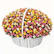 Премиум букет из: Розы в Шумихе