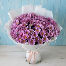 Букет цветов из:  Хризантемы в Шумихе