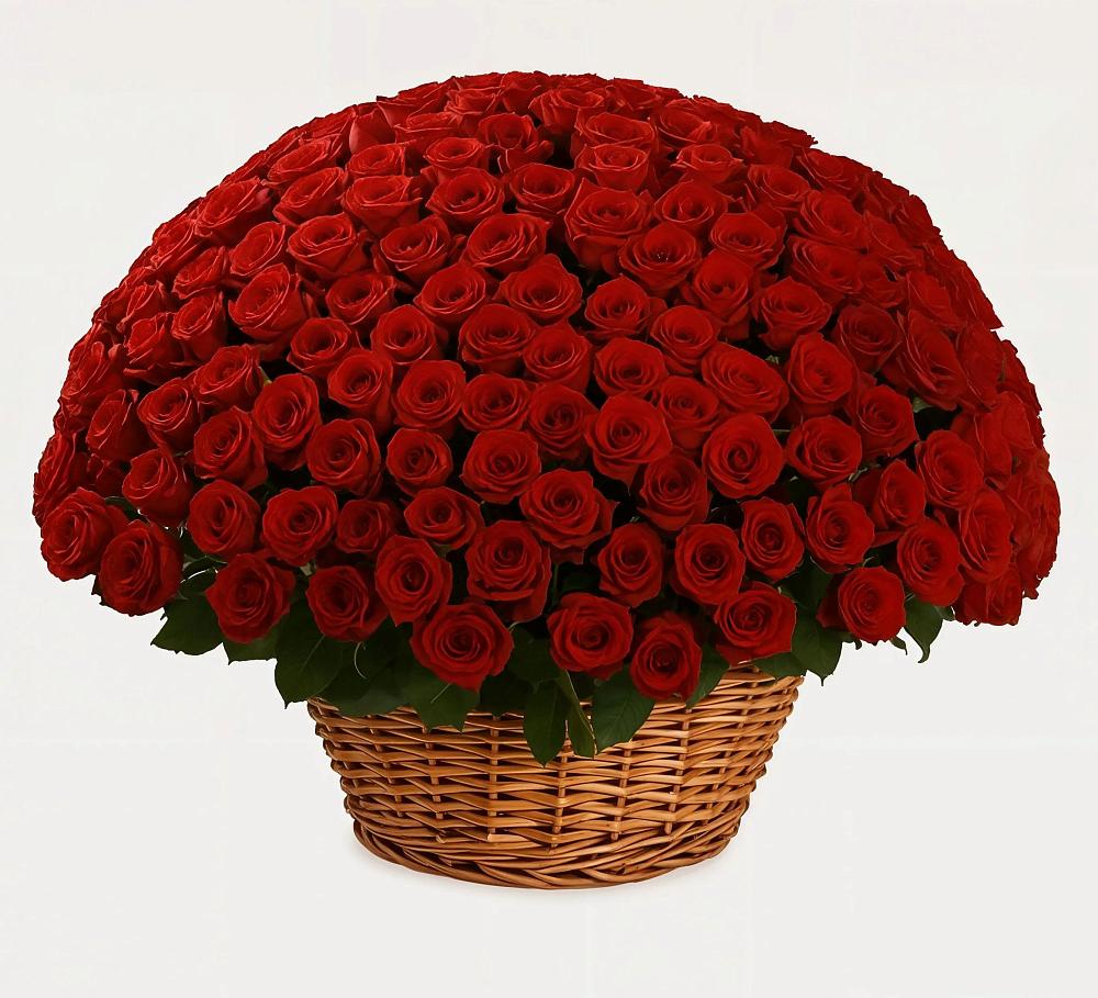 Премиум букет из: Розы в Шумихе