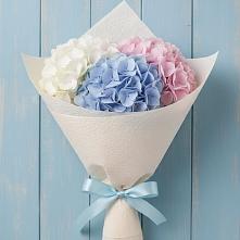 Букет цветов из:  Гортензия в Шумихе