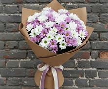 Букет цветов из:  Хризантемы в Шумихе