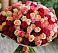 Букет 101 Разноцветная роза в Шумихе