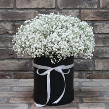 Цветочная композиция из Гипсофила в шляпной коробке в Шумихе