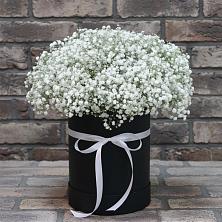 Цветочная композиция из Гипсофила в шляпной коробке в Шумихе