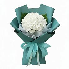 Букет цветов из:  Гортензия #REPLACE_PRED# Шумихе